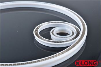PTFE V tüüpi vedruga pingestatud vardatihendid
