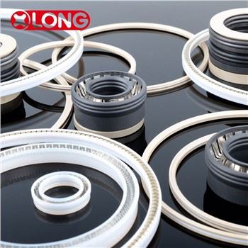 Neitsi PTFE Kevad Pingestatud Huule seal